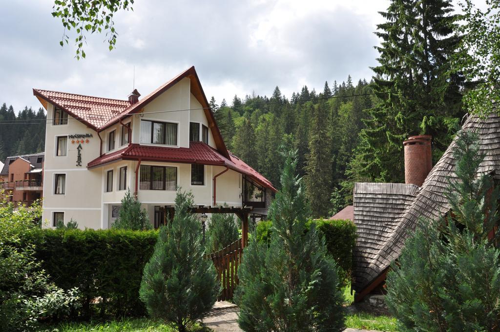 Pensiunea Sura Dacilor - Alex Poiana Brasov Ngoại thất bức ảnh